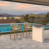 PURPLE LEAF Outdoor Bar Stools Set of 2 – Counter Stools Bar Stools with Aluminum Frame & Backrest for Patio, Kitchen Island & Bistro Stools