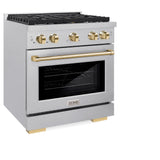 ZLINE 30"Paramount Dual Fuel Range DuraSnow® Gold SDRSZ-30-G