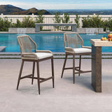 PURPLE LEAF Patio Sunbrella Bar Stools Set of 2 Rattan Bar Aluminum Bar Stool Outdoor Barstools with Back and Cushion for Garden Kitchen Island