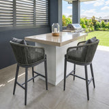 PURPLE LEAF Outdoor Bar Stools Patio Modern Aluminum Rattan High Back & Arms Bar Chairs with Removable Cushions and Pillows for Outdoor or Indoor