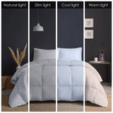 Quilted Goose Feather and Down Oversize Comforter, Grey