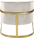 Carter Contemporary Velvet Accent Chair with Gold Stainless Steel Legs for Elegant Home Decor