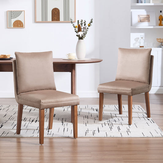 Arden Modern Upholstered Dining Chairs (Set of 2)