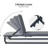PURPLE LEAF Patio Chaise Lounge with Cushion Aluminum Tanning Chair Lounge Adjustable Reclining Set