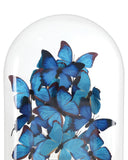 Rue de Bac Blue Large Butterflies