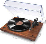 Angels Horn H002BT-OR Exceptional Quality Vintage Wooden Turntable Bluetooth Vinyl Player
