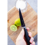 Titan Set of 4 Steak Knives - Black