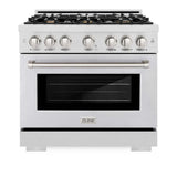 ZLINE 36" Select Dual Fuel Range Gas Cooktop Electric Convection Oven DuraSnow® Stainless Steel Brass Burners HDRS-BR-36