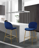 Paris Velvet Contemporary Counter Height Stool Set - Stylish, Comfortable, and Luxe Design for Your Home