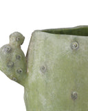 Cactus Vase Set of 3