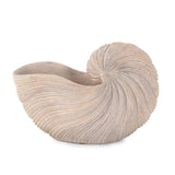 Nautilus Shell