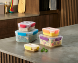 Nest™ Lock 5-piece Multicolour Food Container Set