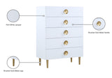 Zayne Contemporary Engineered Wood Chest with Gold Accents for Modern Home Décor and Style