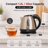 1.2L Stainless Steel Electric Kettle 1500W