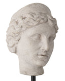 Venus Head on Stand Set of 2