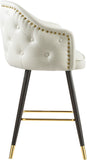 Barbosa Faux Leather Contemporary Counter/Bar Stool Set - Stylish Design with Gold Accents