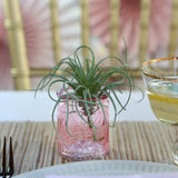 Vintage Pink Glass Tea Light Holder (Set of 4)