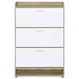 Denia 3-tier Engineered Wood Shoe Cabinet White