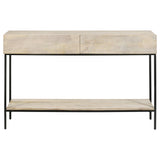 Rubeus 2-drawer Wood Entryway Console Table White Washed