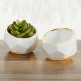 Geometric Ceramic Planter Set of 3 for Home Decor