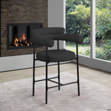 Blake Counter Stool Set of 2 - Stylish Contemporary Design with Durable Matte Black Iron Frame