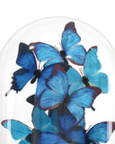 Rue de Bac Blue Medium Butterflies