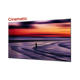 120''-150'' Lenticular Cinematic ALR Screen