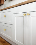 DESIGN3835 Brushed Brass Solid Cabinet Knobs – Sleek Design, Easy to Install, Built to Last