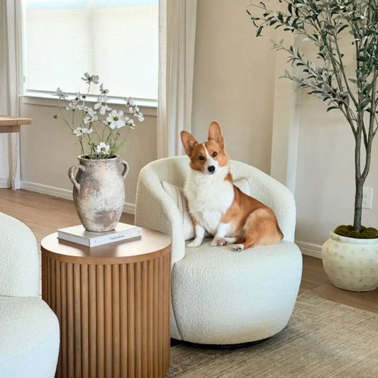 Bella Modern White Boucle Swivel Barrel Chair (1-Piece)