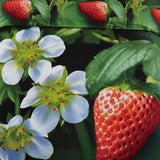 Strawberry - Twin Size