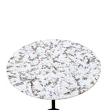 Sperre 18" Accent Table with Alaska White Marble