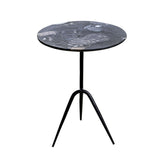 Sperre 18" Accent Table in Norigo Marble