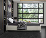 Ghost Acrylic Contemporary Bed with Plush Upholstered Rails, Curved Headboard & Slats Included