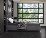 Ghost Acrylic Contemporary Bed with Plush Upholstered Rails, Curved Headboard & Slats Included