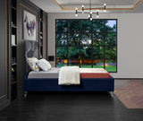 Ghost Acrylic Contemporary Bed with Plush Upholstered Rails, Curved Headboard & Slats Included