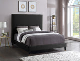 Harlie Velvet Bed - Chic Contemporary Design with Elegant Brass Nailheads & Sophisticated Style