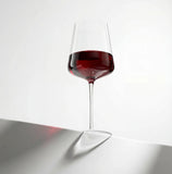 Sidney Red Wine Glasses, 19 oz