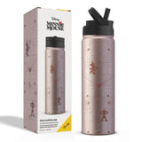 Disney Minnie Mouse MonoMouse Stainless Steel Water Bottle
