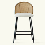 Jules 27.5" Modern Upholstered Rattan Counter Stool (Set of 4)