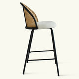 Jules 27.5" Modern Upholstered Rattan Counter Stool (Set of 2)
