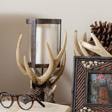 Antler Pillar Candle Holder w/ Glass Hurricane, 2 MOQ