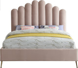 Lily Elegant Velvet Bed with Gold Steel Legs and Deep Channel Tufting for Contemporary Bedrooms