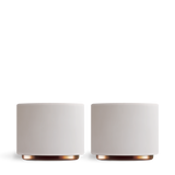 Monty Milk Art Cups