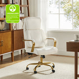 Ludwig Ergonomic Office Chair with Lumbar Support