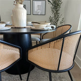 Jules Upholstered Rattan Dining Chair with Arms (Set of 2)