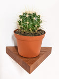 Small Triangle Oak Floating Display Shelf