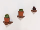 Small Floating Wall Shelves Set for Plants & Decor