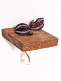 Rhombus Propagation Station Shelf for Plant Cuttings