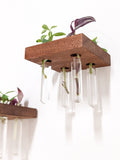 Square Wood Propagation Station Shelf for Plants