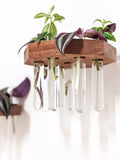 Octagon Propagation Station Shelf for Plant Cuttings